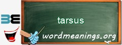 WordMeaning blackboard for tarsus